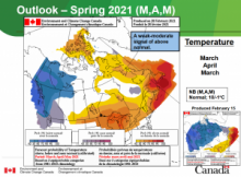 Spring outlook