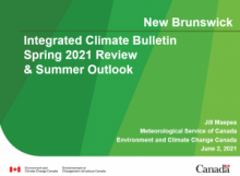 Spring review and summer outlook