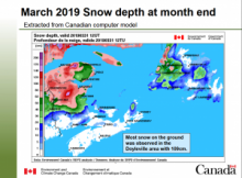 March 2019 review and spring outlook
